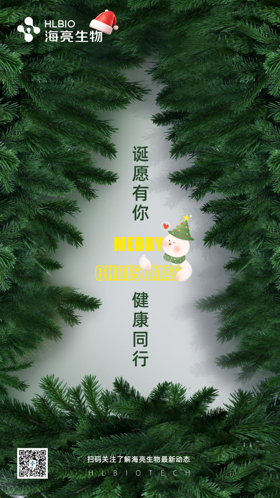 圣诞.jpg